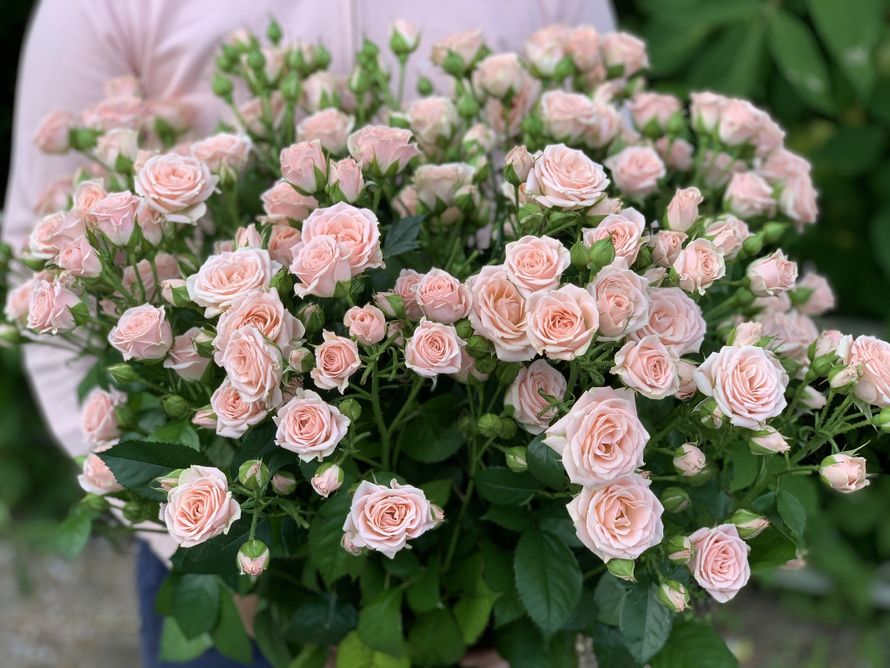 Фото 19360860 в коллекции Портфолио - Verona ArtDecor - декор и флористика