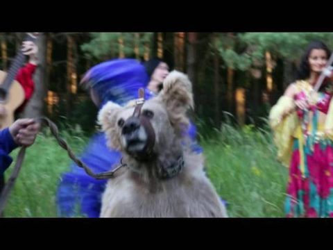 Цыгане, цыганский ансамбль с медведем