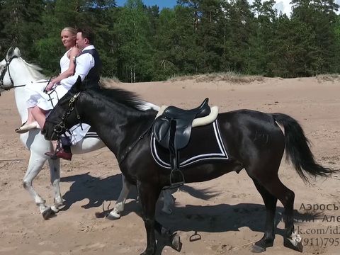 Свадьба на  лошадях